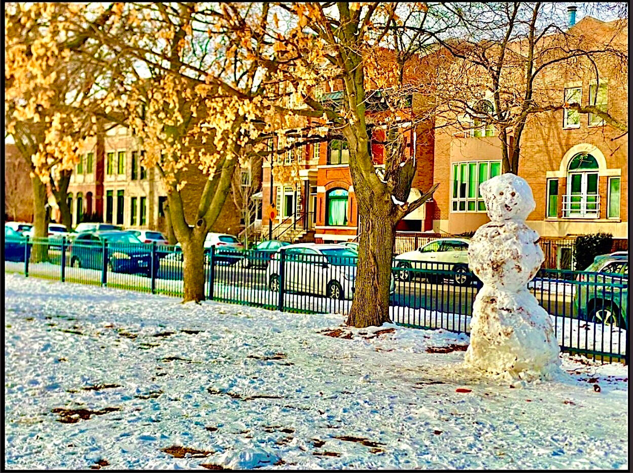 Snowman In The Park