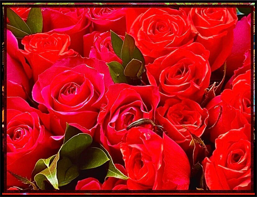 Many A Rose