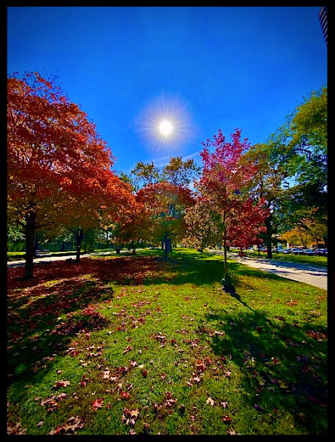 Center Fall Sun